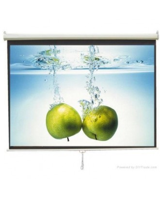 TruVision W-S96MC Wall Mount Screen 2.4 x 2.4M (96" x 96")