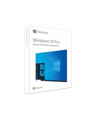 Microsoft Windows 10 Pro (32/64 Bit) P2 USB BOX