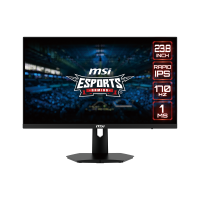MSI GAMING MONITOR G244F  ( 24