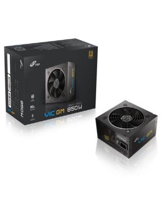 FSP VIC GM 850W - Gold One Computer