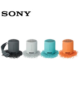 SONY XB100 Compact Bluetooth Wireless Speaker